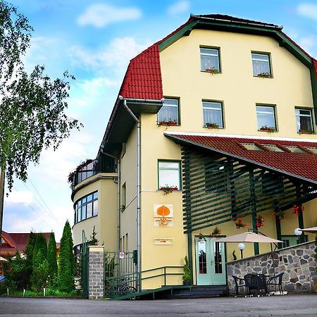 Hotel Restaurant Park 密古雷休治 外观 照片